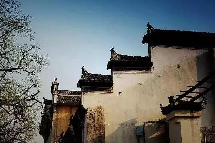以撒的结合：胎衣